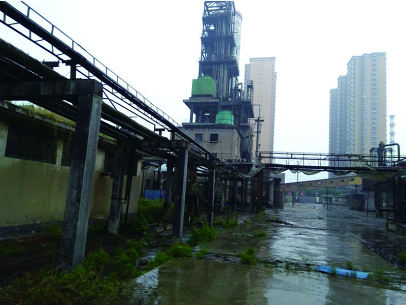 河北元隆化工场地调查及